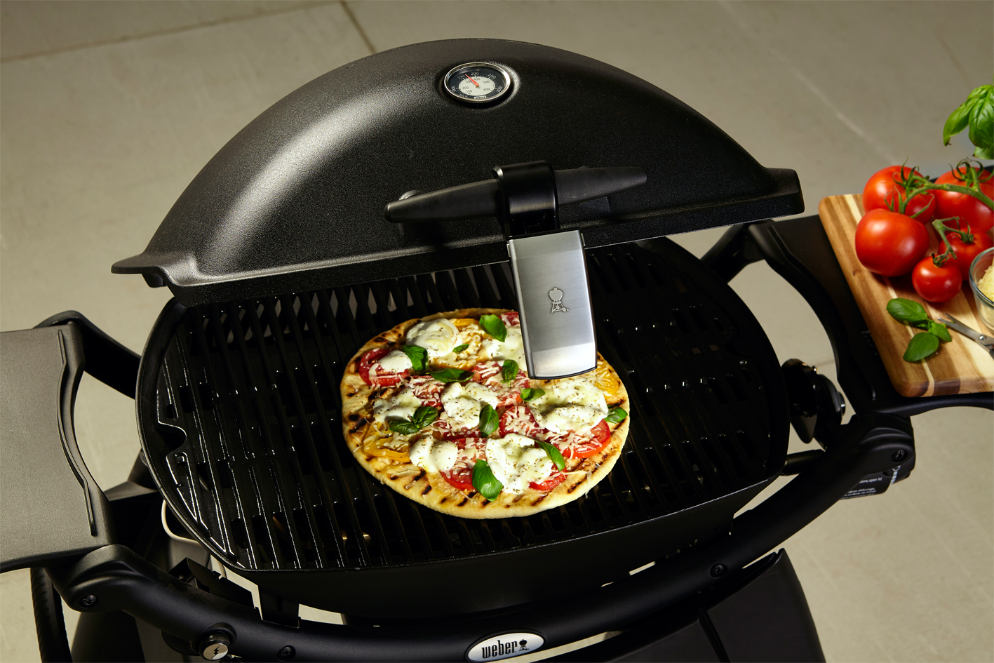 Weber Grifflicht für Q-Grill