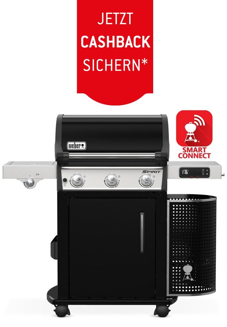 Weber Spirit EPX 325 GBS Ausstellungsstück