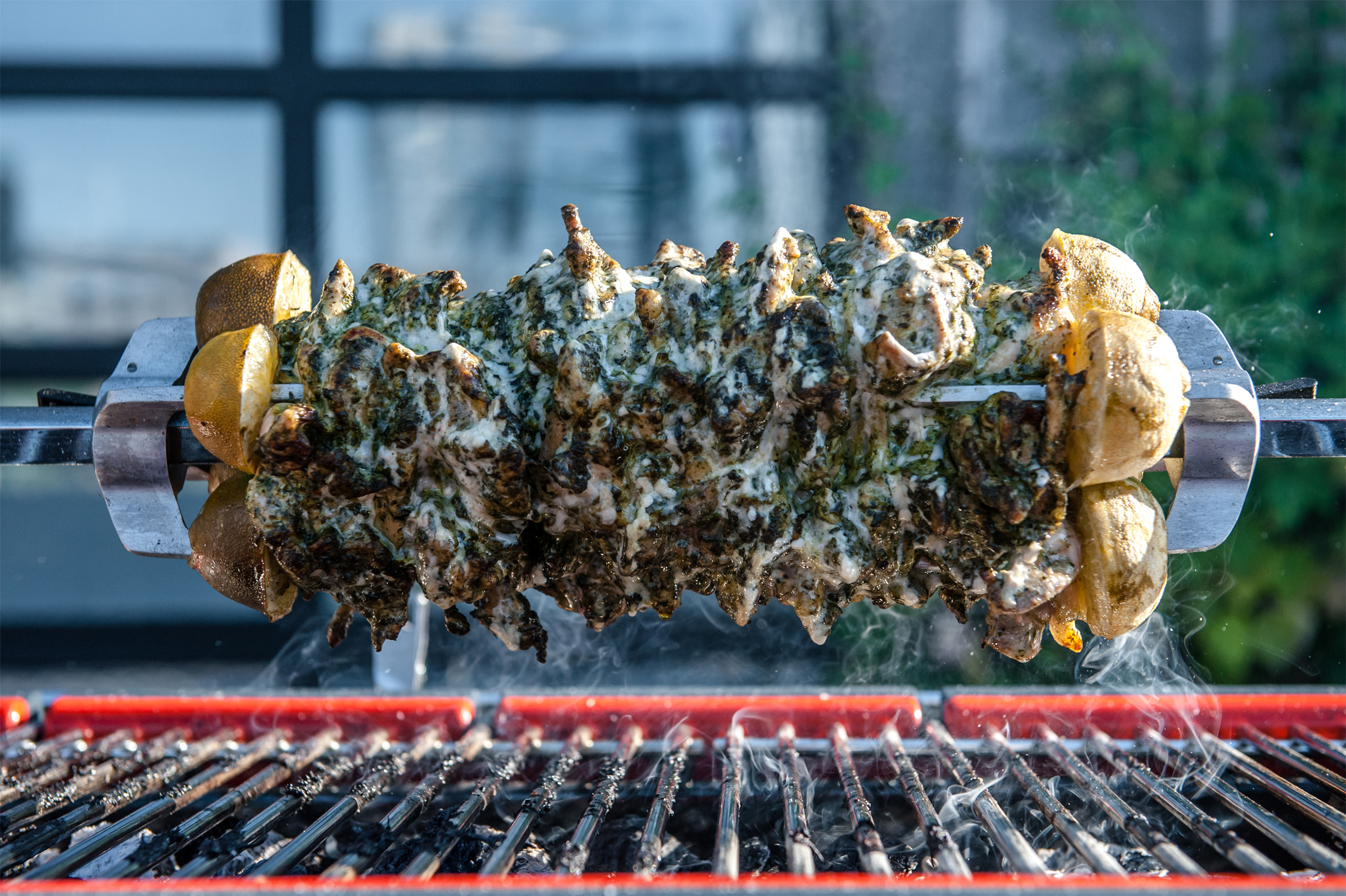 HUB_2 Everdure HUB Holzkohlegrill