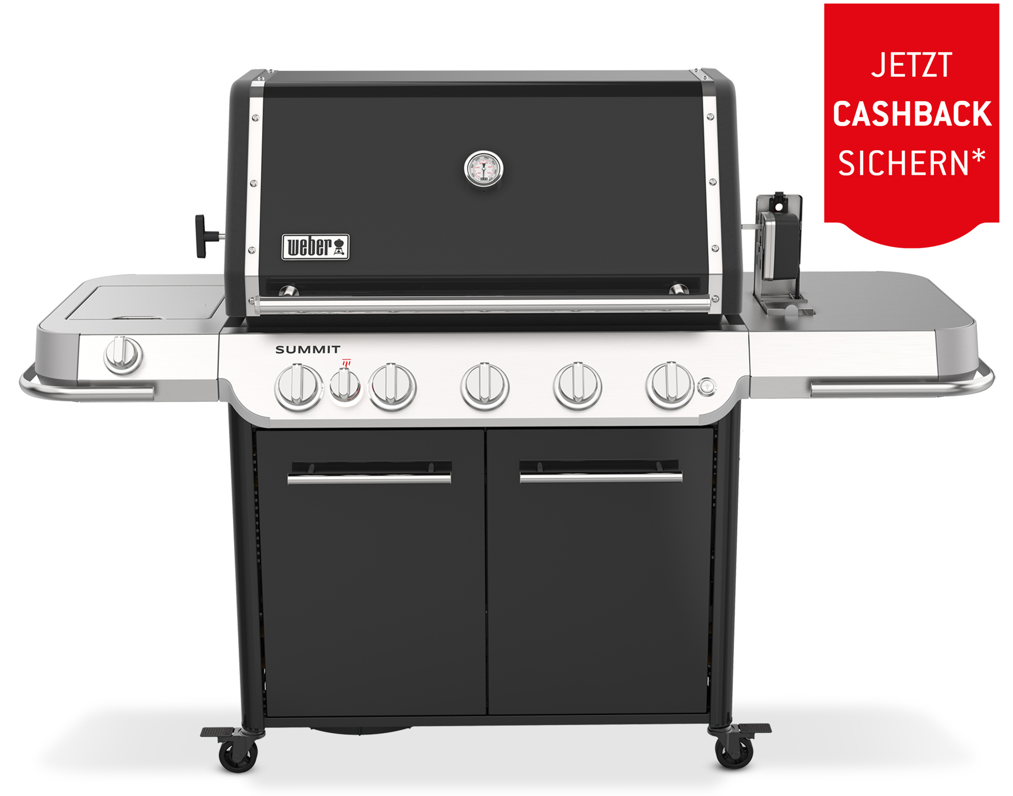 Weber Summit FS38 E Gasgrill