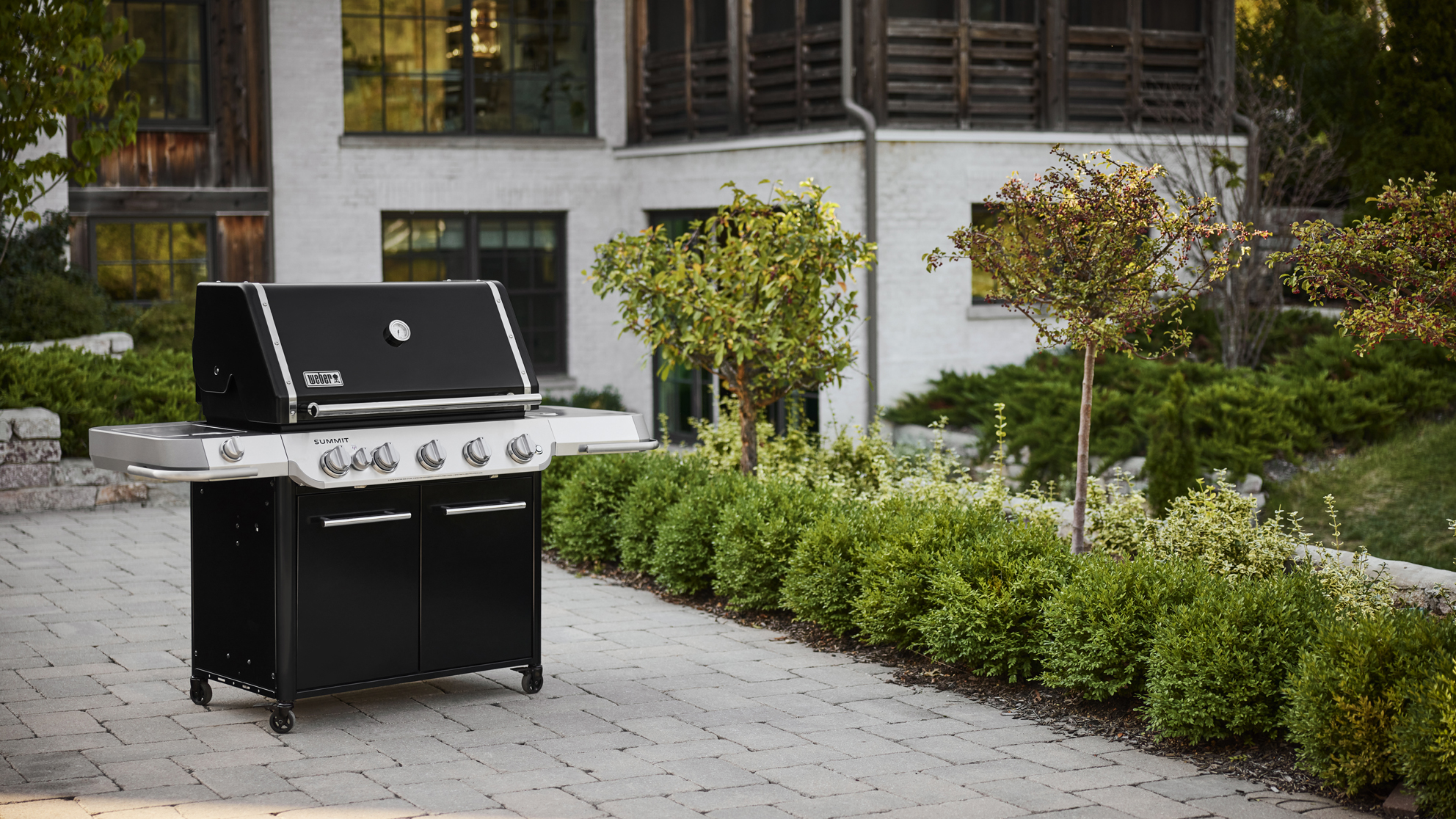 Weber Summit FS38 E Gasgrill