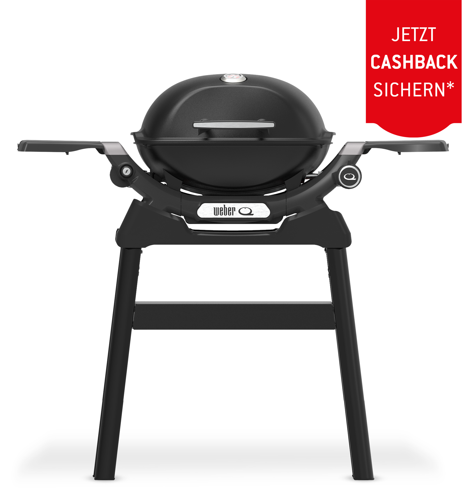 Weber Q 1200N Gasgrill mit Stand