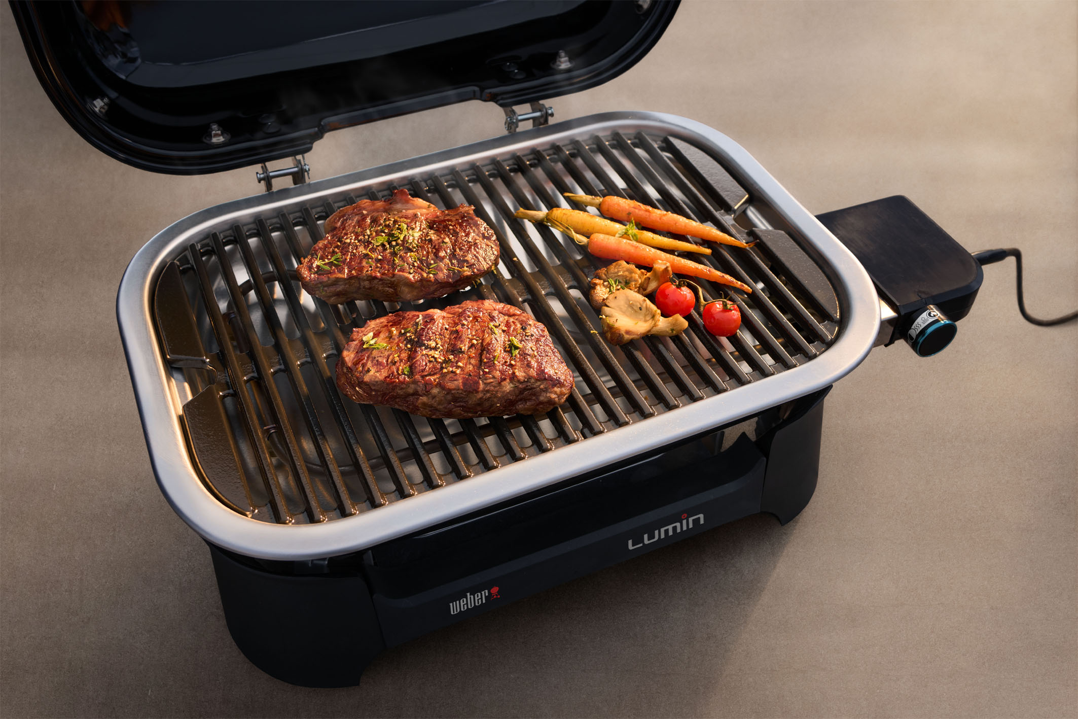 Weber Lumin Compact Stand Elektrogrill Black